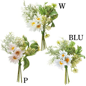  Ƃ悹i i`t[~bNXu[P(1Zbg12) CeA CeAt[ tFCNt[ VNt[ lfBXvC~[WA YDM