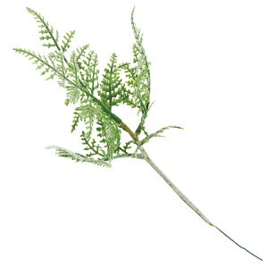  O[ Ƃ悹i fB[t@sbN(1Zbg24{) CeA tFCN O[ p[c CeAt[ ԍ Ԏ lfBXvC~[WA YDM