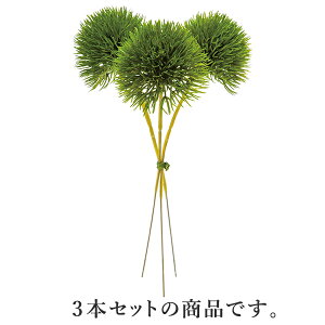 yP10{ z  O[ Ƃ悹i O[gtoh(1Zbg12) CeA tFCN O[ p[c CeAt[ ԍ t lfBXvC~[WA YDM