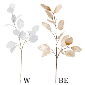 yP10{ z  Ƃ悹i iAV[h(1Zbg12{) CeA CeAt[ tFCNt[ VNt[ CeAO[ lfBXvC~[WA YDM