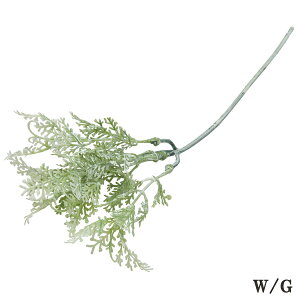  O[ Ƃ悹i O[WW[sbN(1Zbg24{) CeA tFCN O[ p[c CeAt[ ԍ t lfBXvC~[WA YDM