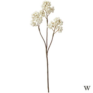 yP10{ z  O[  Ƃ悹i p[[x[Xv[(1Zbg12{) CeA tFCN O[ p[c AWg ԍ f lfBXvC~[WA YDM