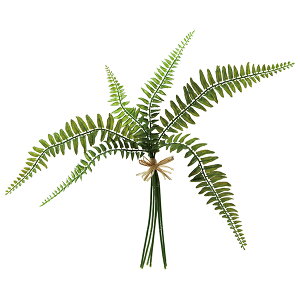 yP10{ 12/31܂ŁIz  O[ Ƃ悹i vX`bNV_[oh(1Zbg12) CeA tFCN O[ p[c CeAt[ ԍ lfBXvC~[WA