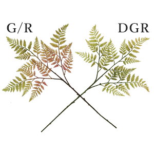 yP10{ z  O[ Ƃ悹i t@[Xv[(1Zbg24{) CeA tFCN O[ p[c CeAt[ VNt[ lfBXvC~[WA YDM