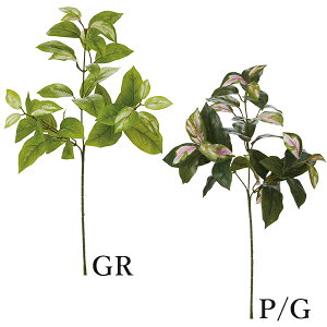 yP10{ }\z  O[ Ƃ悹i zXv[(1Zbg12{) CeA tFCN O[ p[c CeAt[ tFCNt[ t lfBXvC~