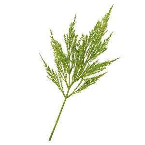 yP10{ z  O[ Ƃ悹i o[bVOXXv[(1Zbg12{) CeA tFCN O[ p[c CeAt[ ԍ lfBXvC~[WA YDM