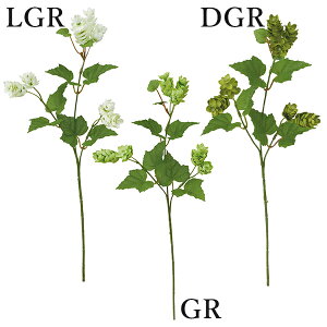 yP10{ z  Ƃ悹i zbvXv[(1Zbg12{) CeA CeAt[ tFCNt[ VNt[ CeAO[ lfBXvC~[WA YDM