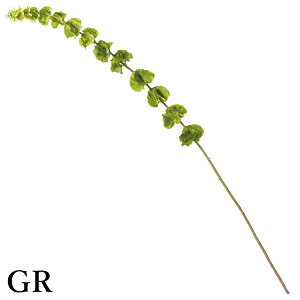 yP10{ 12/31܂ŁIz  O[ Ƃ悹i Z(1Zbg6{) CeA tFCN O[ p[c CeAt[ tFCNt[ ԍ t lfBXvC~[WA