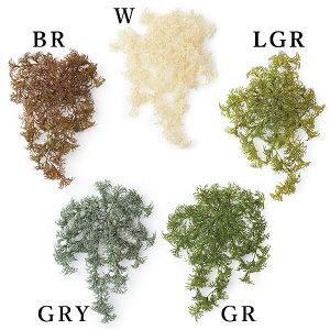 yP10{ 12/31܂ŁIz  O[ Ƃ悹i tBhX(1Zbg12R) CeA tFCN O[ p[c CeAt[ VNt[ lfBXvC~[WA