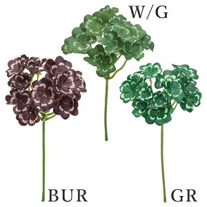 yP10{ 12/31܂ŁIz  O[ Ƃ悹i N[o[sbN(1Zbg24{) CeA tFCN O[ p[c CeAt[ VNt[ lfBXvC~[WA