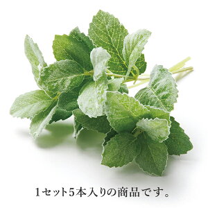 yP10{ z  O[ Ƃ悹i v~g(1Zbg12Zbg) n[u CeA tFCN O[ p[c CeAt[ ԍ f lfBXvC~[WA YDM