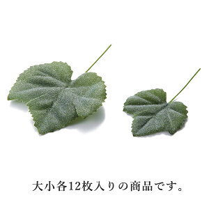 yP10{ z  O[ Ƃ悹i O[vACr[24P(1Zbg12ܓ) CeA tFCN O[ p[c CeAt[ ԍ Ԏ lfBXvC~[WA YDM