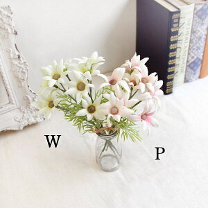 yP10{ z  Ƃ悹i tlt[o`(1Zbg12) CeA CeAt[ tFCNt[ VNt[ ԍ f lfBXvC~[WA YDM