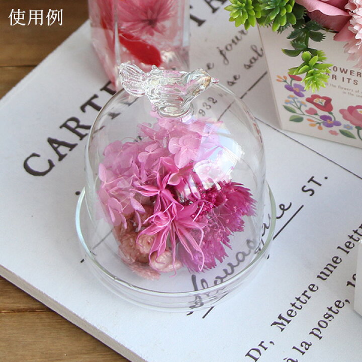 楽天市場 ガラス ベース 即日出荷 Posh Living ガラスドーム コンポート インテリア 花資材 花器 ベース アレンジ 安い 装飾 フラワーアレンジメント フラワーアレンジ 土台 母の日 結婚式 造花ドライフラワー専門問屋花びし 楽天市場 ガラス ベース 即日出荷 Posh Living ガラスドーム コンポート インテリア 花資材 花器 ベース アレンジ 安い 装飾 フラワーアレンジメント フラワーアレンジ 土台 母の日 結婚式 造花ドライフラワー専門問屋花びし
