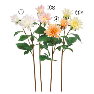 yP10{ z  Ƃ悹i _A×2 VO Ă񂶂ڂ eWN{^ CeA CeAt[ tFCNt[ VNt[ ԍ Ԏ AXJ ASCA AXJ