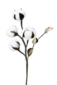 楽天市場 コットンフラワー 花 ガーデン Diy の通販