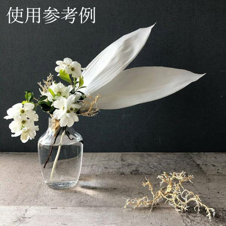 楽天市場 プリザーブドフラワー 花材 即日出荷 大地農園 ハラン オフホワイト葉 リーフ ドライフラワー スワッグ ブーケ ドライフラワー花束 花束 ドライフラワースワッグ リース アレンジ 花材 素材 材料 花 パーツ アレンジメント ナチュラル 造花ドライ
