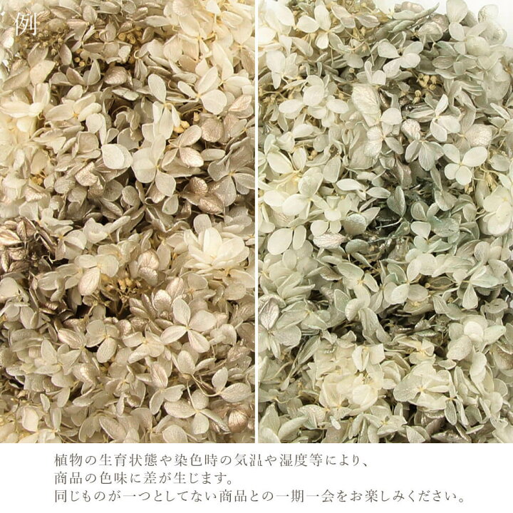 楽天市場】プリザーブドフラワー 花材 即日出荷 ピラミッド 