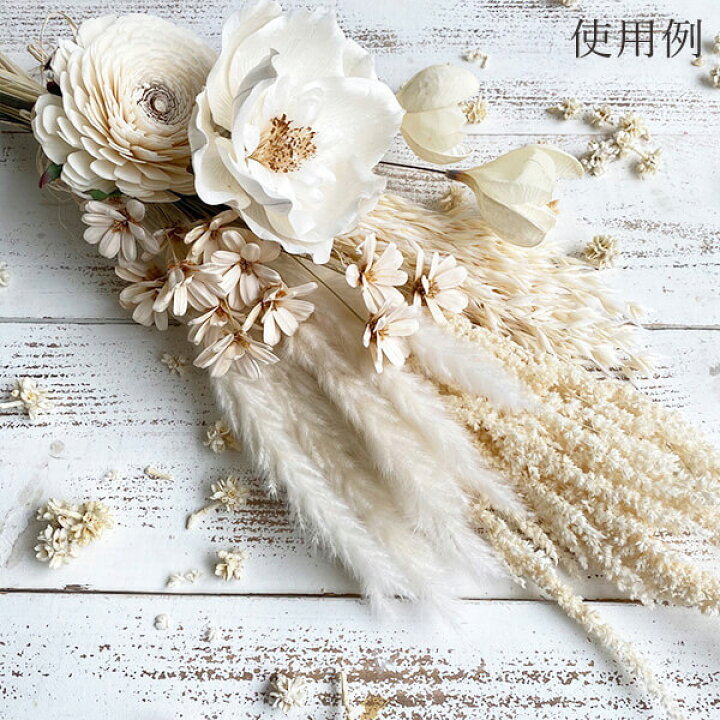 7円 オープニング大セール ドライフラワー 花材 即日出荷 大地農園 スター