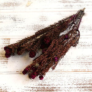 yP10{ z vU[uht[ ԍ o  g[^tBC (݌Ɍ) sN vU[uht[ XbO u[P hCt[ ԑ [X AW ԍ f