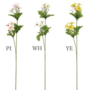 yP10{ 12/31܂ŁIz  ԑ Ƃ悹i A}[YubV JX~ ݑ fCW[ Wv\tB Mv\tB A[eBtBVt[ CeA CeAt[ ro