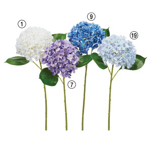  Ƃ悹i nChWA  AWTC z nChWA ZCEAWTC mz  F u[ Cgu[  zCg AXJ ASCA AXJ