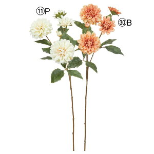 yP10{ z  Ƃ悹i _A×4 ڂ×1 VO Ă񂶂ڂ eWN{^ CeA CeAt[ tFCNt[ VNt[ t AXJ ASCA AXJ