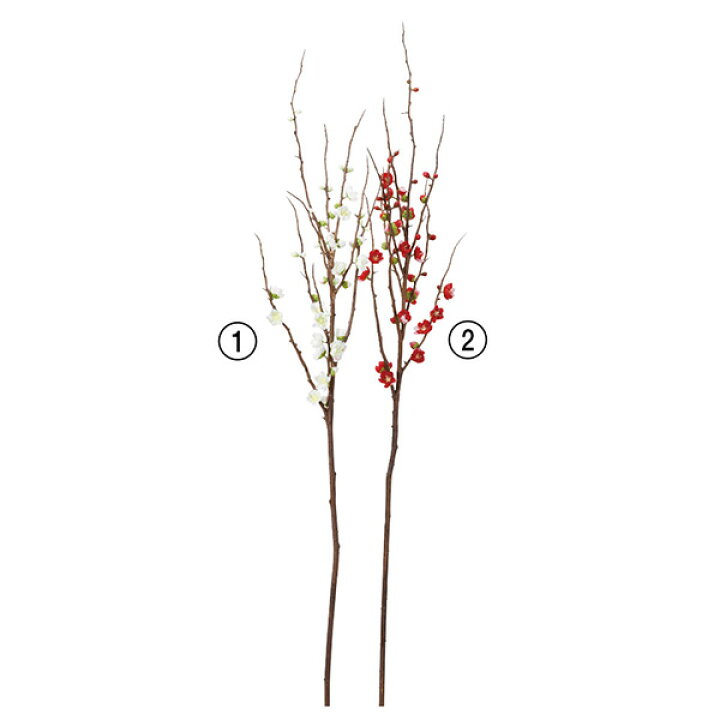 フェイクグリーン アートフラワー イミテーション アーティフィシャルフラワー 花材 花資材 素材 材料 パーツ 手作り DIY ハンドメイド 花冠 《 造花 》 とりよせ品 Asca アスカ 梅×18 つぼみ×26和 梅 Japanese apricot プラム インテリア インテリアフラワー フェイク ... フェイクグリーン アートフラワー イミテーション アーティフィシャルフラワー 花材 花資材 素材 材料 パーツ 手作り DIY ハンドメイド 花冠 《 造花 》 とりよせ品 Asca アスカ 梅×18 つぼみ×26和 梅 Japanese apricot プラム インテリア インテリアフラワー フェイク ...