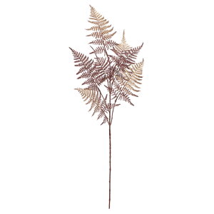 yP10{ z   O[ Ƃ悹i AXpKXt@[ XMmnJY AXpKXXvQ AXpKXEfVtXXvQ V_ a AXJ ASCA AXJ