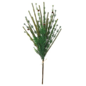 NX}X  O[ Ƃ悹i ~bNXpCR[o` [t z[[ t  I[ig NX}X NX}X[X G  AXJ ASCA AXJ