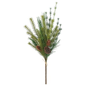 NX}X  O[ Ƃ悹i ~bNXpCo` [t z[[ t  I[ig NX}X NX}X[X CeA  AXJ ASCA AXJ