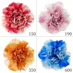 yP10{ z vU[uht[ ԍ Ƃ悹i J[l[VEXt(8֓) ԍ f ޗ p[c hCt[ ̓ F Of[V sN c[g  n_