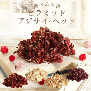 ★P10倍 10/14 20時から★ プリザーブドフラワー 花材 即日出荷 ピラミッドアジサイ・ヘッド 花材 素材 材料 パーツ アジサイ あじさい ゴールド パープル レッド ホワイト 白 赤 紫 ベージュ 大