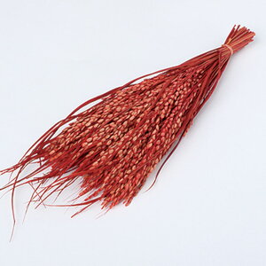 hCt[ ԍ o sbN bh ԍ f ޗ  ߓ  a N p[c  bh hCt[ XbO u[P hCt[ԑ 