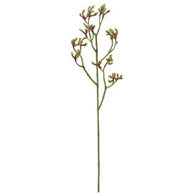 楽天市場 カンガルーポー 造花 造花 人工観葉植物 花 観葉植物 花 ガーデン Diyの通販