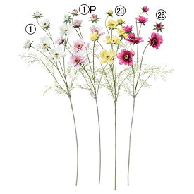 楽天市場 コスモス 花 観葉植物 花 ガーデン Diy の通販