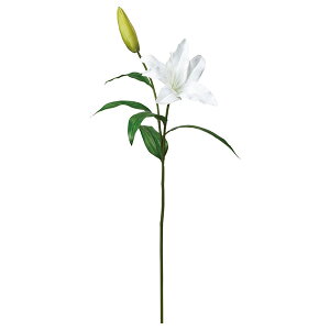 yP10{ 12/31܂ŁIz  Ƃ悹i JTuJ×1 ڂ×1 S   A[eBtBVt[ CeA CeAt[ tFCNt[ ԍ DIY AXJ ASCA AXJ