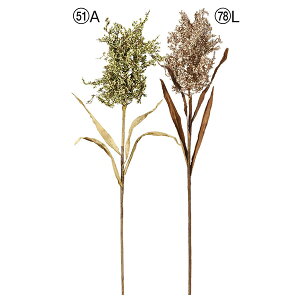 yP10{ 12/31܂ŁIz  O[  Ƃ悹i Chx[NX^[ CeA tFCN O[ p[c AWg CeAt[ tFCNt[ AXJ ASCA AXJ