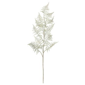 楽天市場 アスパラガス 造花 造花 人工観葉植物 花 観葉植物 花 ガーデン Diyの通販 楽天市場 アスパラガス 造花 造花 人工観葉植物 花 観葉植物 花 ガーデン Diyの通販