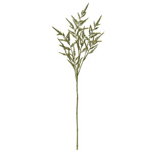  Ƃ悹i AX`x A[eBtBVt[  CeA CeAt[ tFCNt[ VNt[ CeAO[ AXJ ASCA AXJ