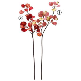 楽天市場 ポプラ 花 観葉植物 花 ガーデン Diy の通販