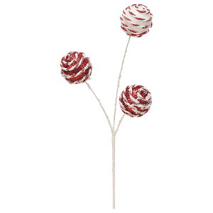  NX}X I[ig Ƃ悹i {[sbN sbN  ݂̖ t I[ig NX}X NX}X[X CeA G AXJ ASCA AXJ