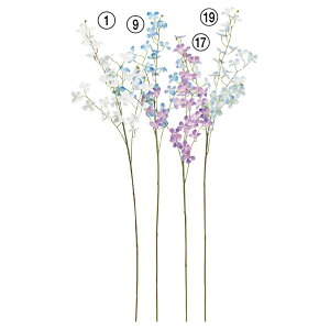 yP10{ 12/31܂ŁIz  Ƃ悹i ~jt[Xv[×32 ڂ×2 [NXp[ 璹 u[ p[v    zCg F CeA CeAt[ AXJ ASCA AXJ