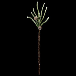 yP10{ z NX}X  O[ Ƃ悹i pCR[Xv[ [t z[[ t  I[ig NX}X NX}X[X CeA  AXJ ASCA AXJ