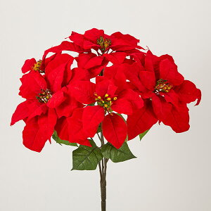 NX}X  Ƃ悹i xxbg|CZ`AubV |CZ`A  I[ig NX}X ԍ f AW AWޗ CeA G fBXvC