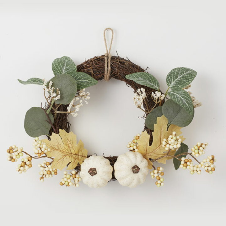 楽天市場 フェイクフルーツ とりよせ品 花びし パンプキンリース クリームインテリア イミテーション 花材 花資材 素材 材料 パーツ 装飾 手作り 安い ナチュラル 春 夏 秋 冬 高品質 リアル フェイク 造花ドライフラワー専門問屋花びし