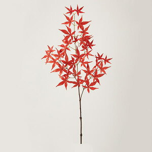 yP10{ 12/31܂ŁIz  O[ Ƃ悹i [vXv[ CeA tFCN O[ p[c CeAt[ tFCNt[ VNt[ CeAO[ ԍ 