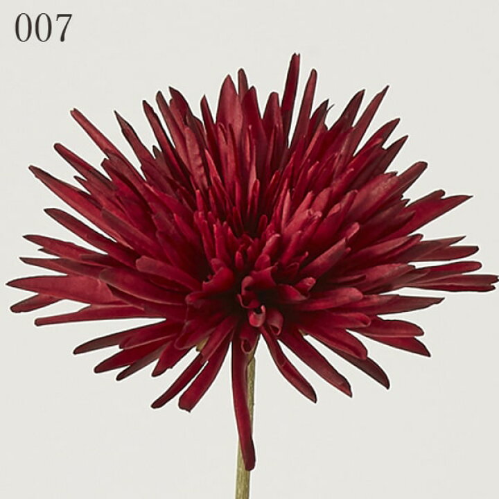 楽天市場 造花 とりよせ品 花びし アンティークスパイダーマム和 菊 マム インテリア インテリアフラワー フェイクフラワー シルクフラワー インテリアグリーン フェイクグリーン アートフラワー 花材 花資材 造花ドライフラワー専門問屋花びし