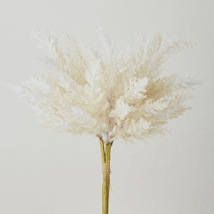  O[ Ƃ悹i N[~[ppX̑(3{/)  CeA tFCN O[ p[c CeAt[ tFCNt[ VNt[ A[gt[