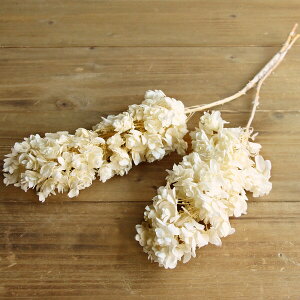 yP10{ z vU[uht[ ԍ o JVoAWTCEXet ItzCg AWTC  z Ԃт vU[uht[ XbO u[P ԑ  n_